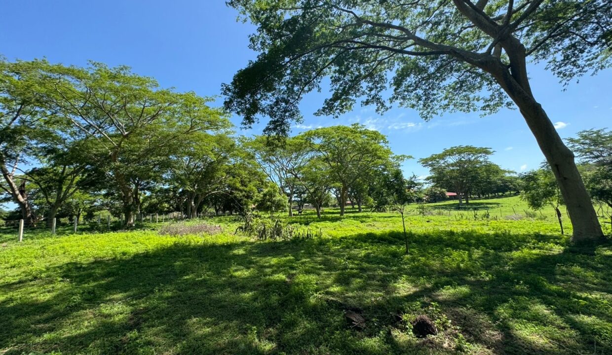 file-1749566952