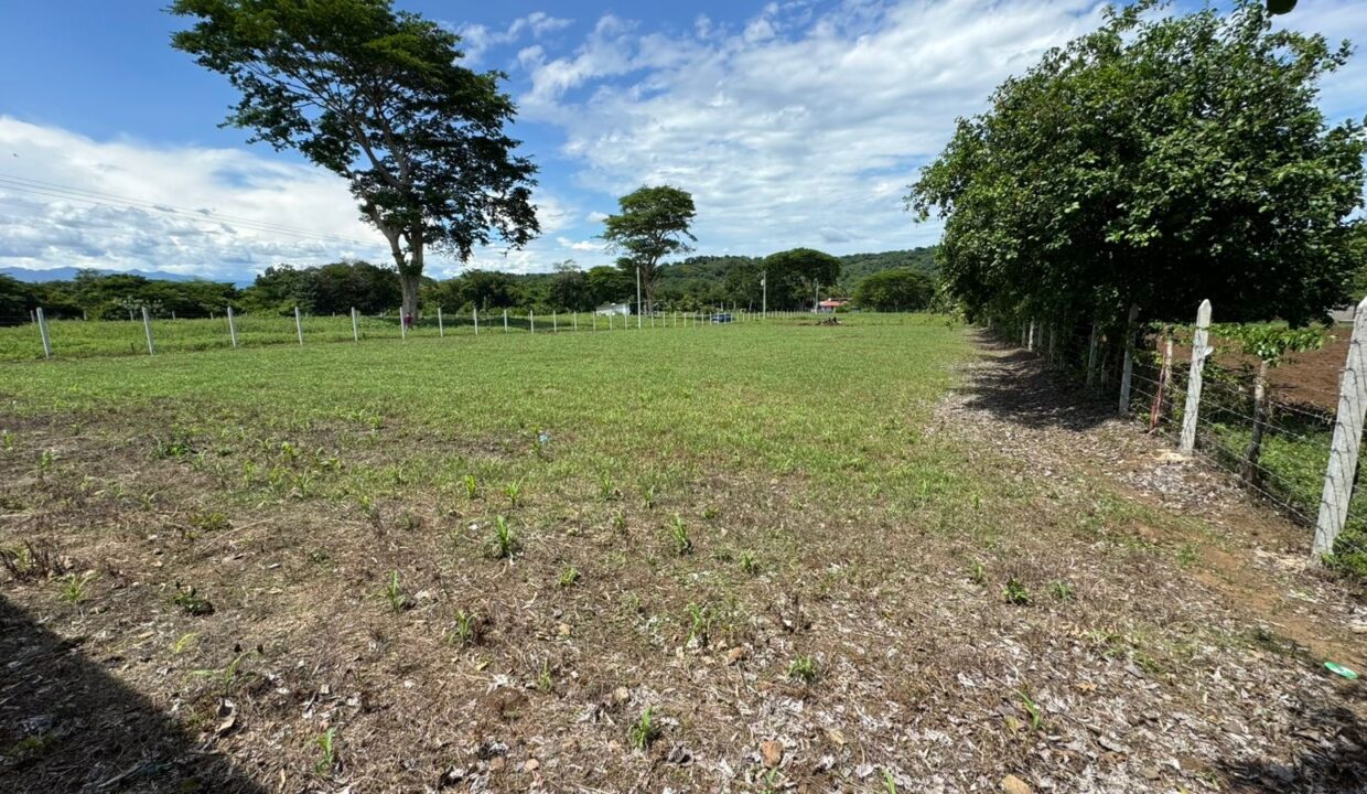 file-1749659150