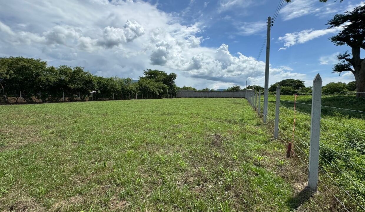 file-1749659155