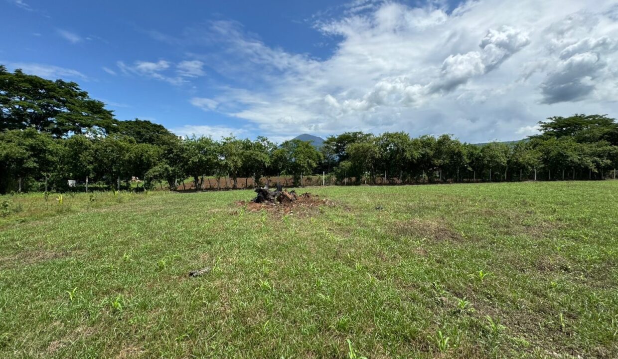 file-1749659176