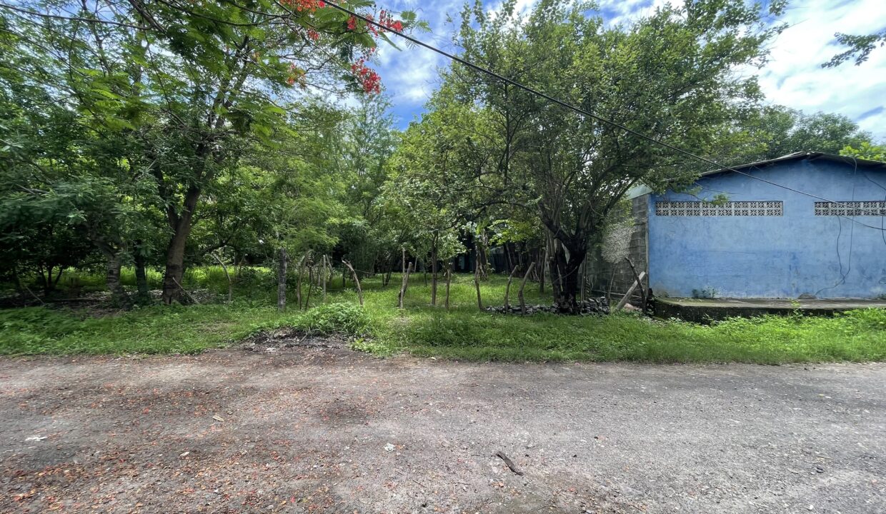 file-1750126165