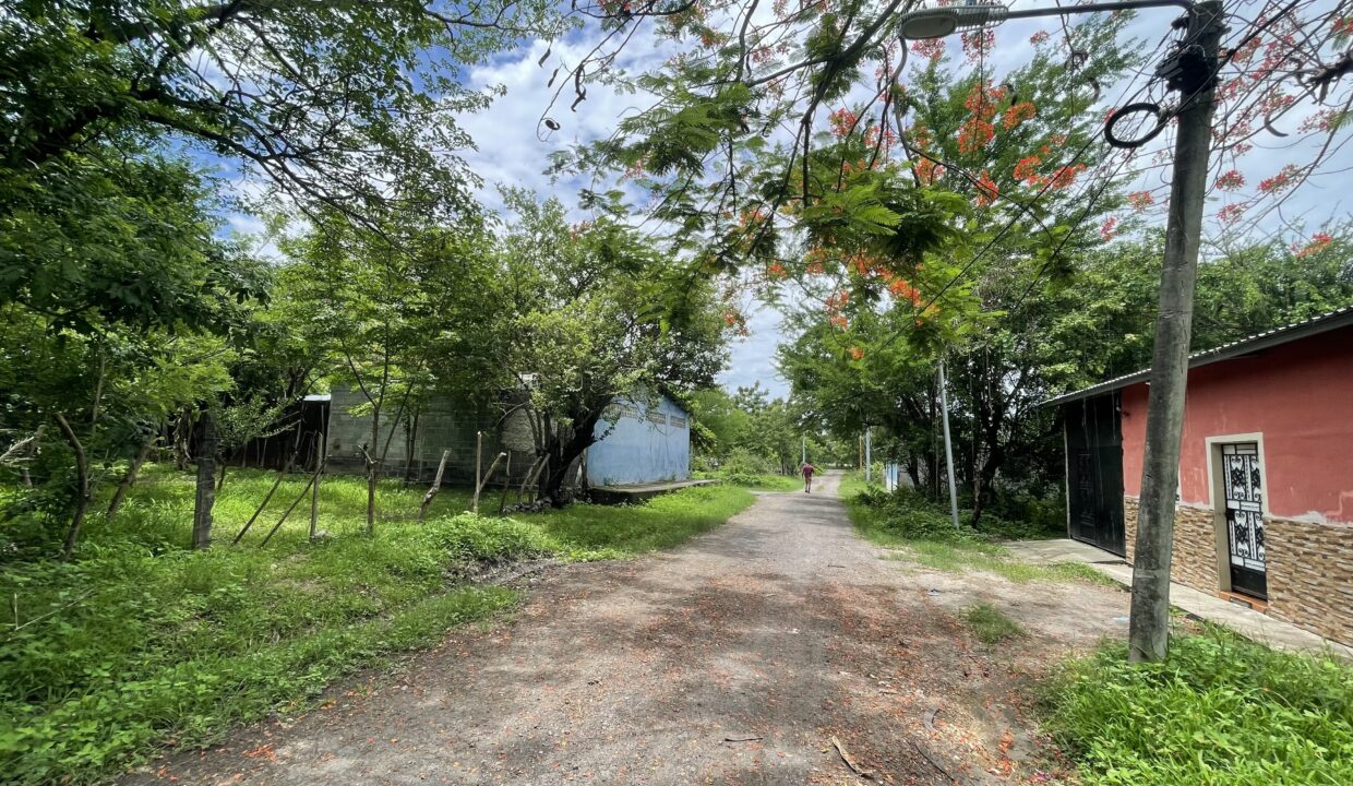 file-1750126177
