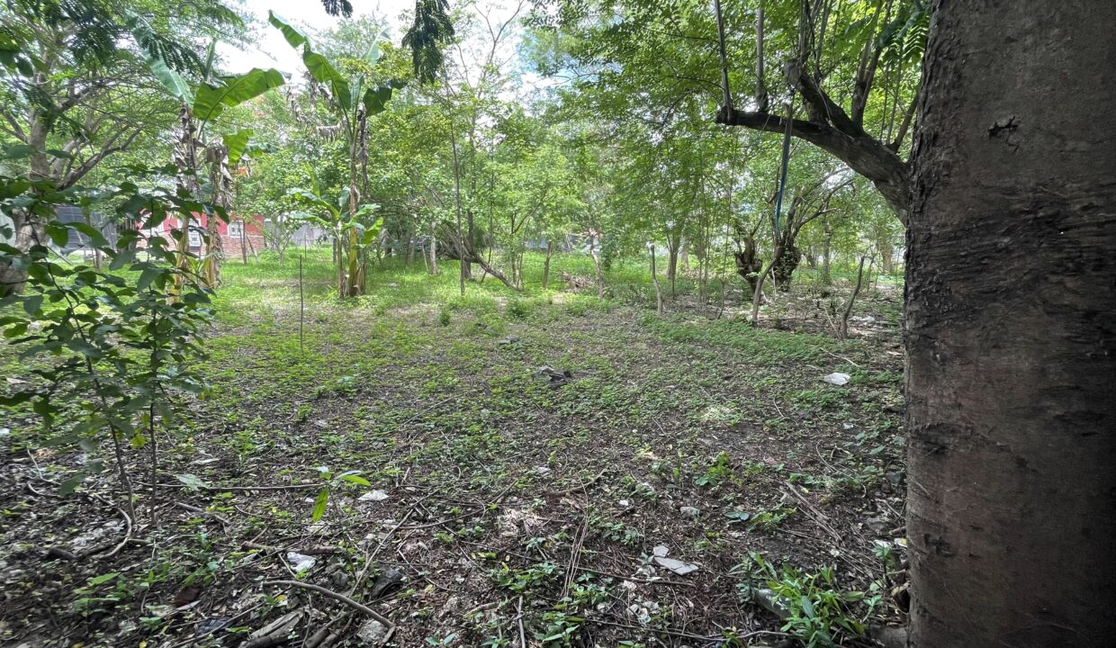 file-1750126239