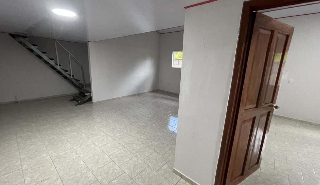 file-1750126595