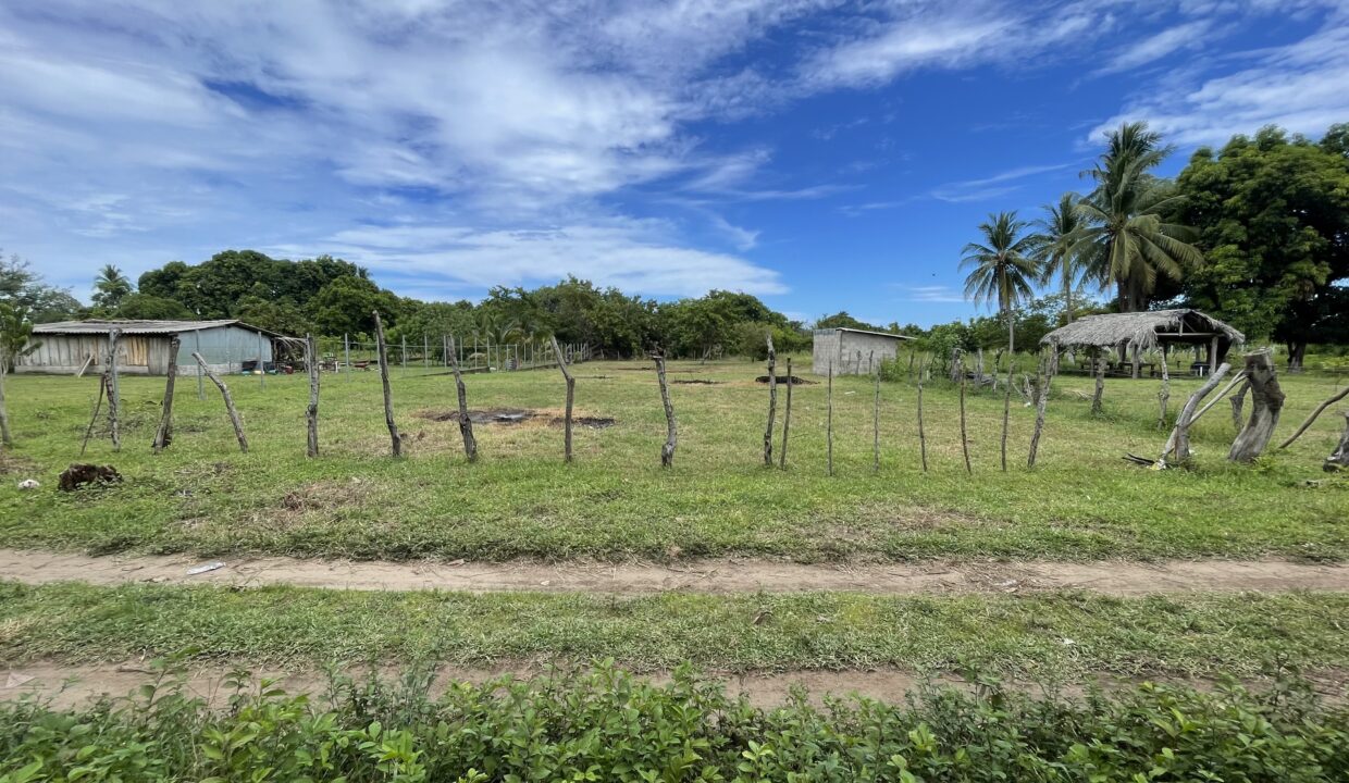 file-1750126839