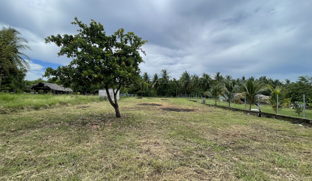 file-1750126922