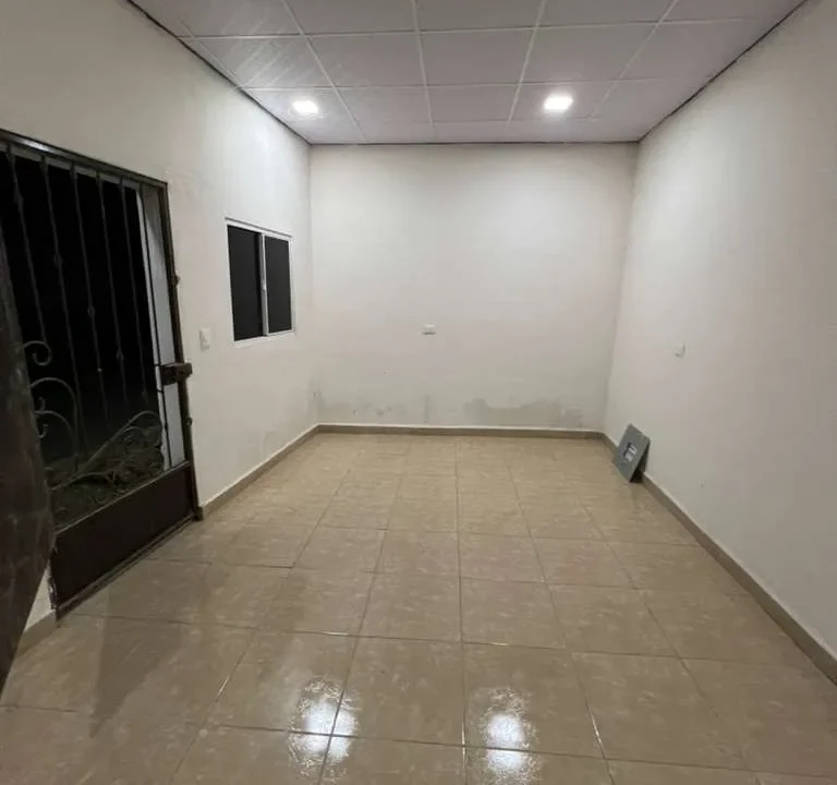 file-1765848194