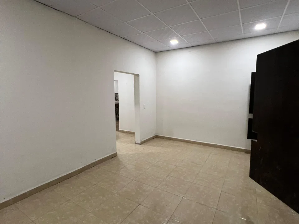 file-1765848221